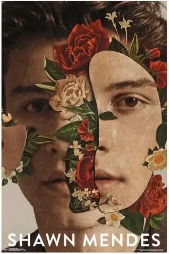 

SHAWN MENDES - FLORAL COLLAGE SILK POSTER Decorative Wall painting 24x36Inch
