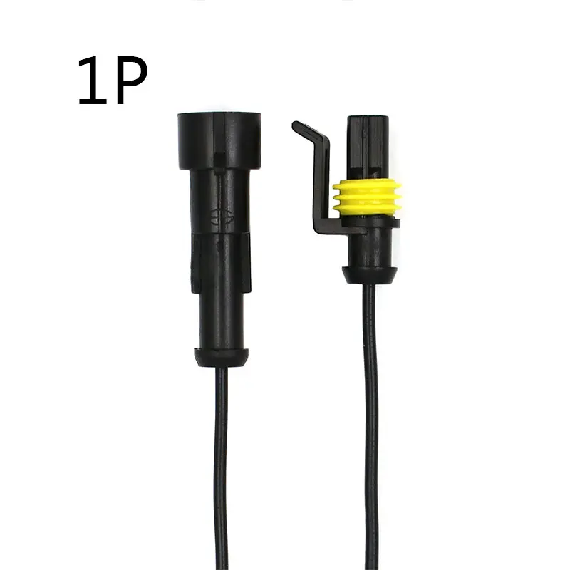 1P