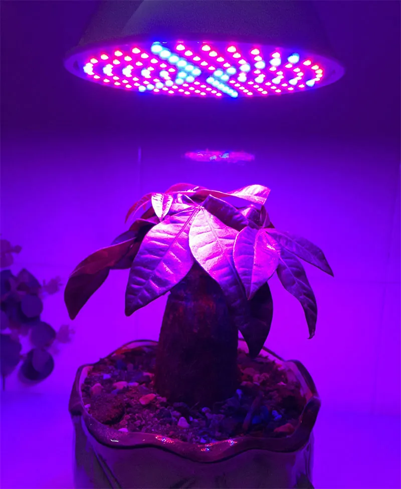Светодиодный светильник для выращивания растений с двумя головками, 126 светодиодный светильник с гибким настольным держателем, зажим для выращивания растений в помещении, Гидропоника