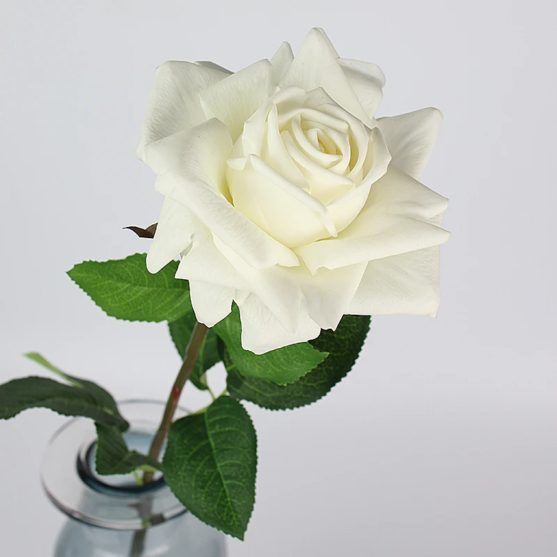 1 white-b
