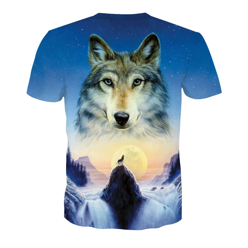 D-116-凯诚T恤短袖模板-后