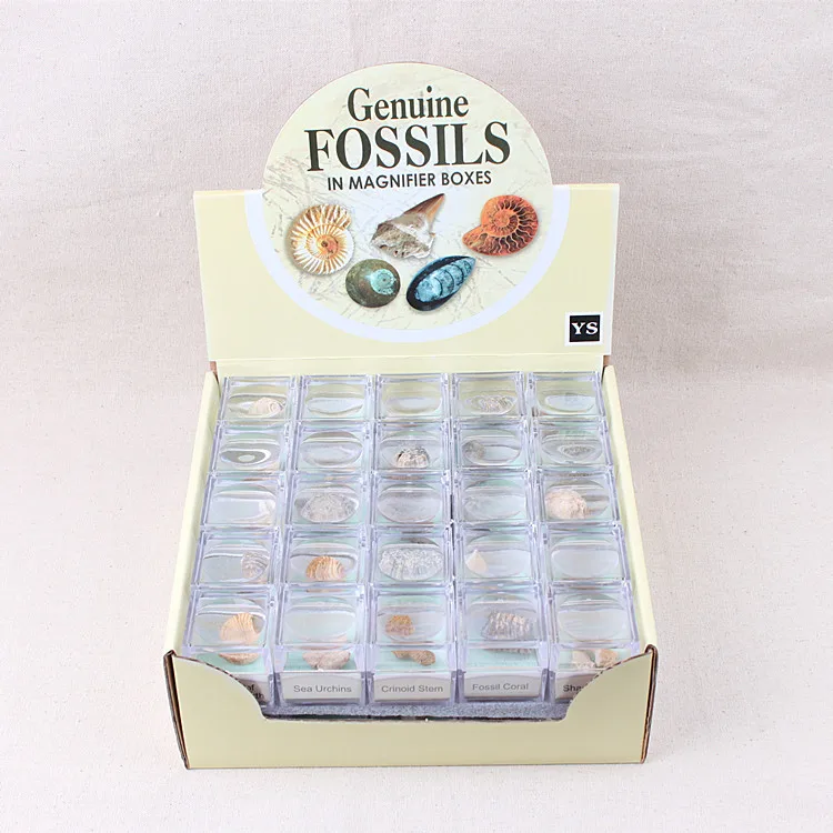 50 коробок натуральный кристалл руды образец минерального камня, геологические материалы, минеральный образец, подарок для детей, биологическое окаменелое вещество