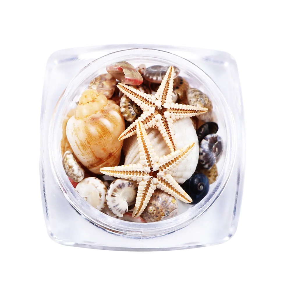 

1 Box Marine Nail Ornaments Mixed Ocean Style Natural Shell Starfish Conch Nail Charms Slice Stickers Decals Nail Art Decoration