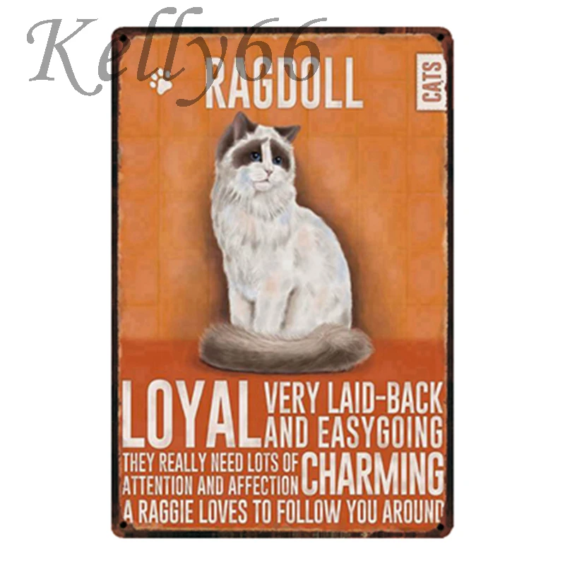 

[ Kelly66 ] Ragdoll CAT Metal Sign Tin Poster Home Decor Bar Wall Art Painting 20*30 CM Size y-1796
