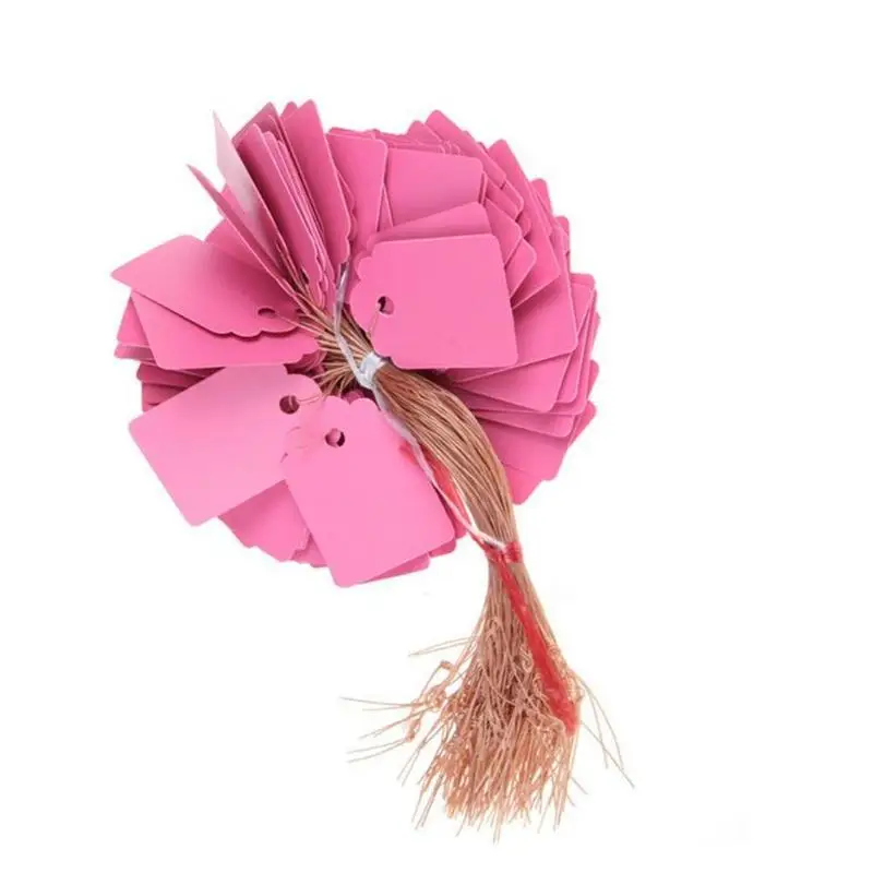 100 шт. ПВХ садовые этикетки садовый инструмент 5 цветов метки садоводческие водонепроницаемые этикетки для одежды скрапбук многоразовые Цветочные этикетки - Цвет: pink