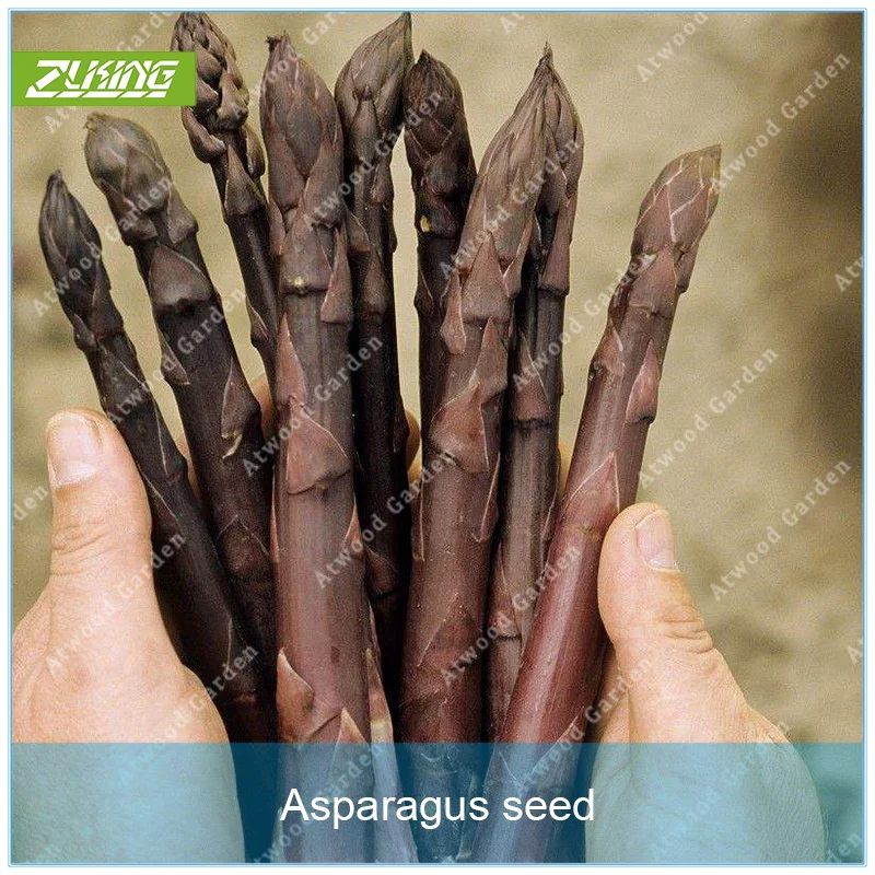 

100pcs Asparagus Vegetable Bonsai Plants For Home Garden Supernatural Products Chinese Vegetable