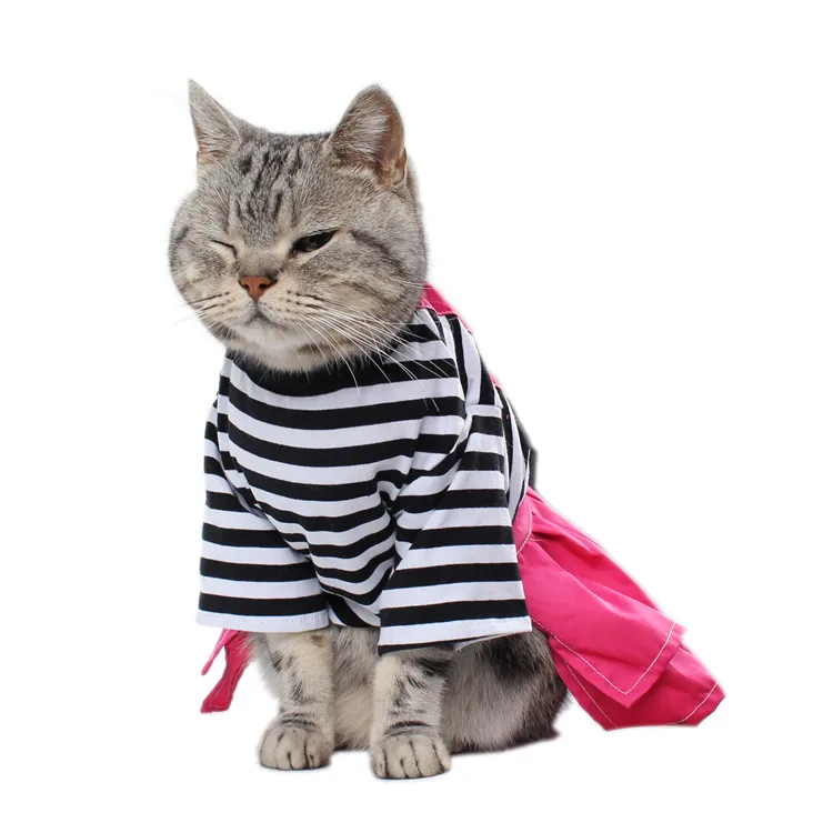 dog clothes (5)