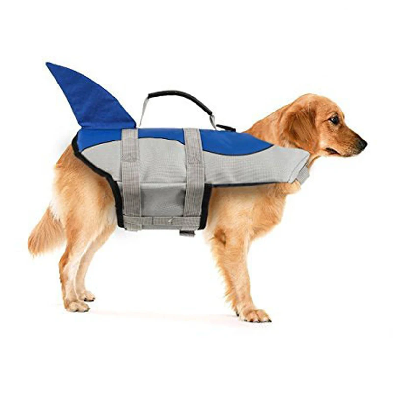 3 (1)