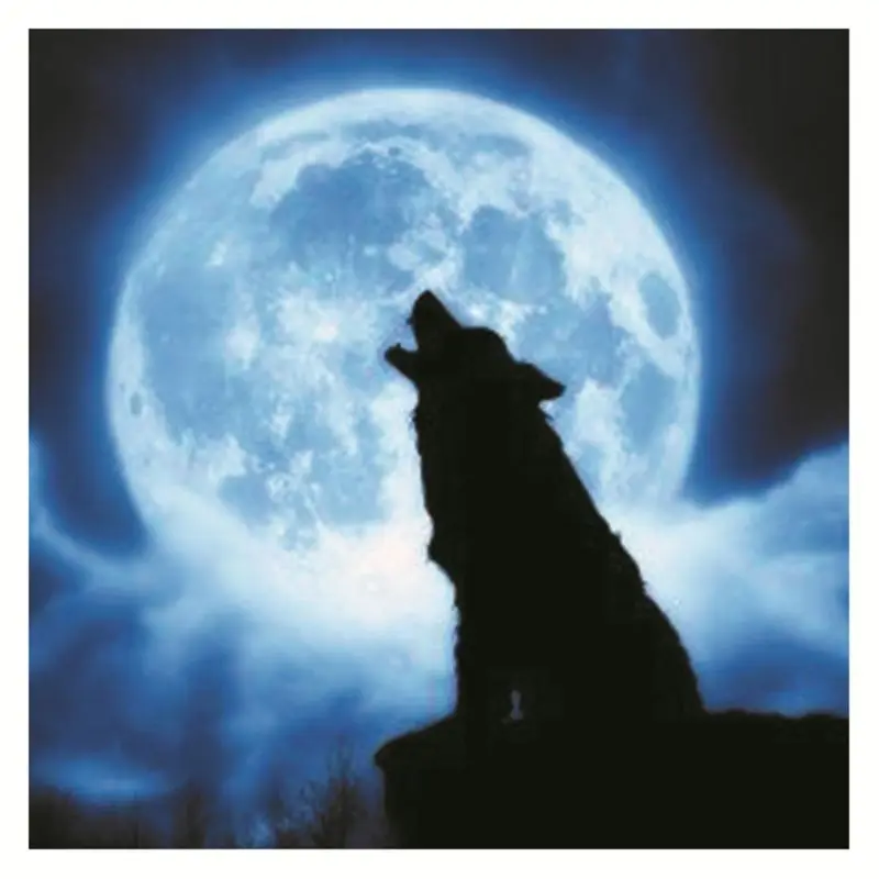 

Luminous Wolf DIY 3D Wall Sticker Glow In The Dark Home Decor Kids Living Room Bedroom Decal 20/30cm