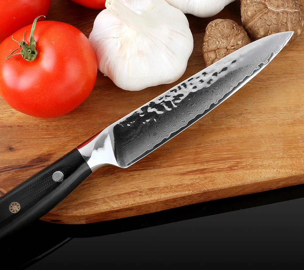XITUO Дамаск Кухня шеф повара Ножи набор 67 слой Vg10 японский Profesional Кливер Santoku нож