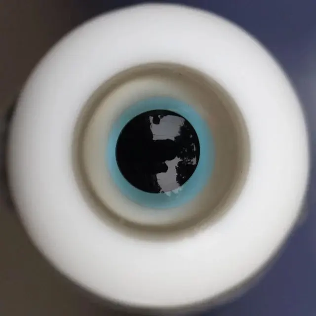 

BJD стекло 8 мм 10 мм 12 мм 14 мм 16 мм 18 мм круглые Глазные яблоки Reborn Baby Doll Makeup Jewelry Taxidermy Steampunk Craft