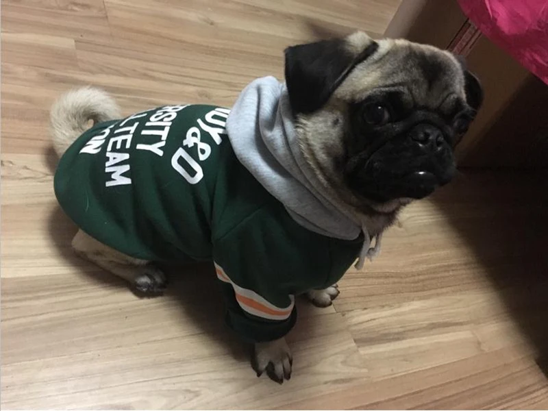 [MPK Dog Wear] Grandy Hoodies for Small Dogs, Cute French Bulldog Hooded Sweatshirt, Cool T-Shirt for Frenchie