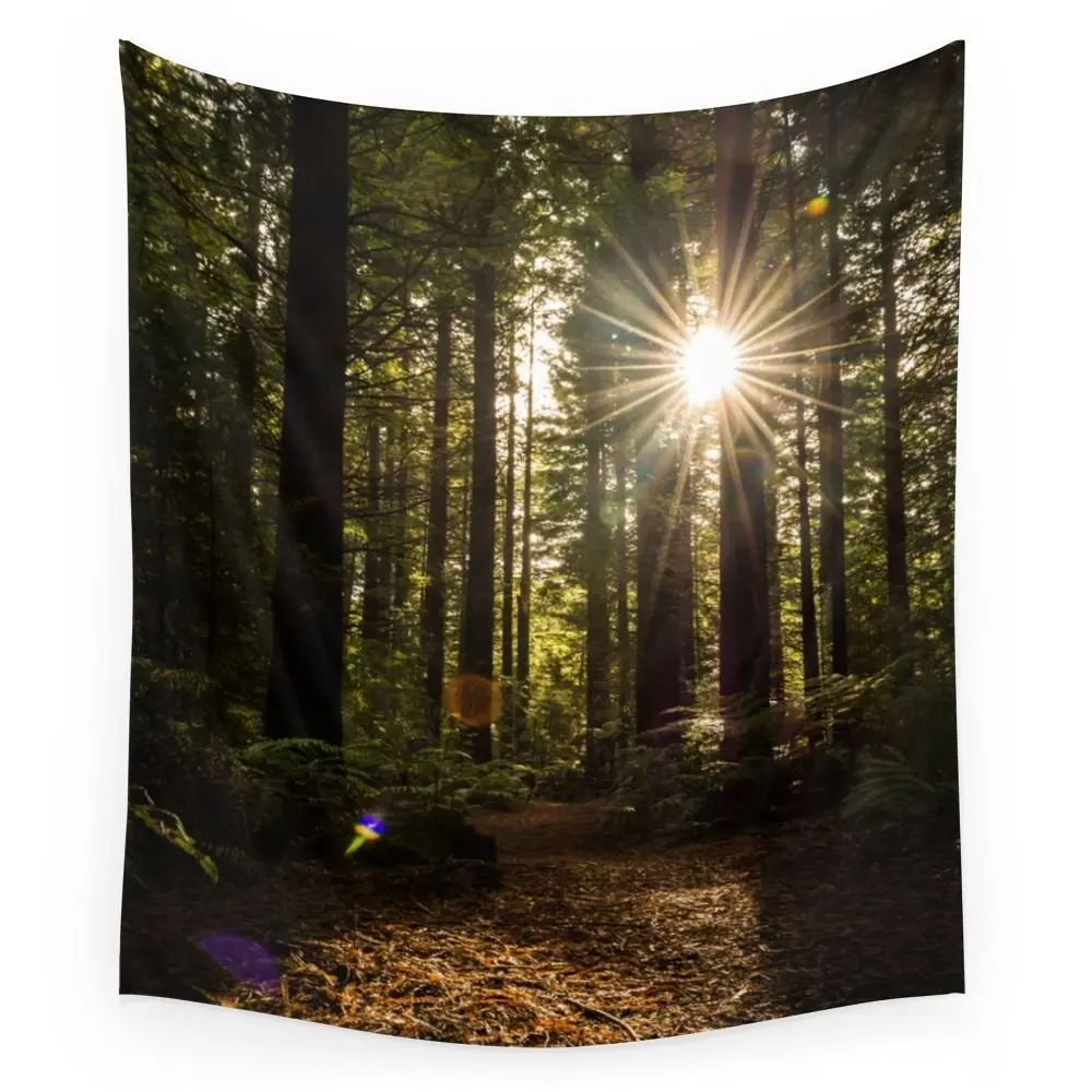 Redwood Forest Wall Tapestry Hanging For Decoration Fashion | Дом и сад