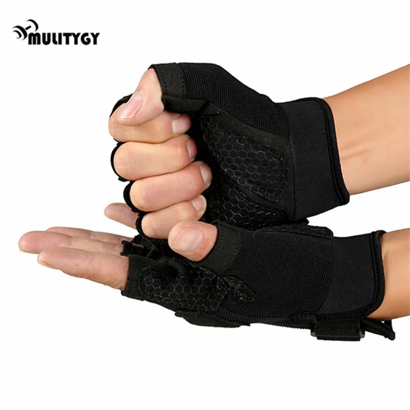 Palm35 (2)