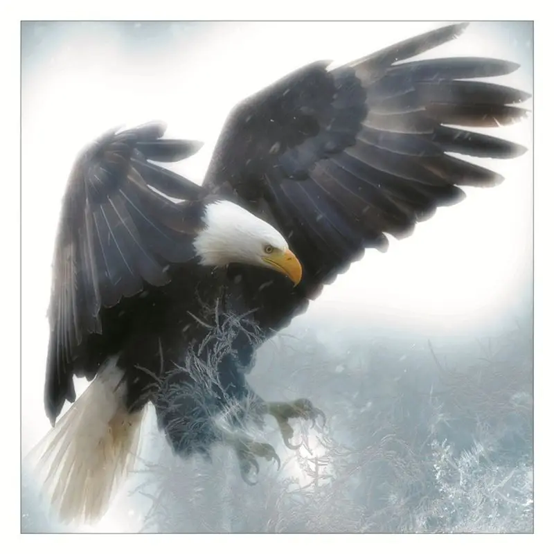 

Eagle Luminous DIY 3D Wall Sticker Glow In The Dark Home Decor Kids Living Room Bedroom Decal