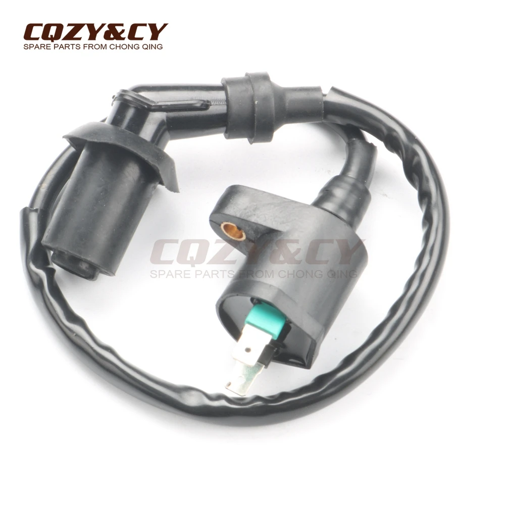Стандарт и флейта для PEUGEOT BUXY RS 50 CITYSTAR Django elyсо ELYSTAR FOX Kisbee LOOXOR LUDIX Limbo 2PIN|Зажигание