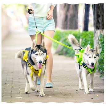 

Safety High Strong Nylon Pet Dog Leash Double Trickness Running Reflective Safe Walking Training Pet Dog Lead Leash Stock 100cm