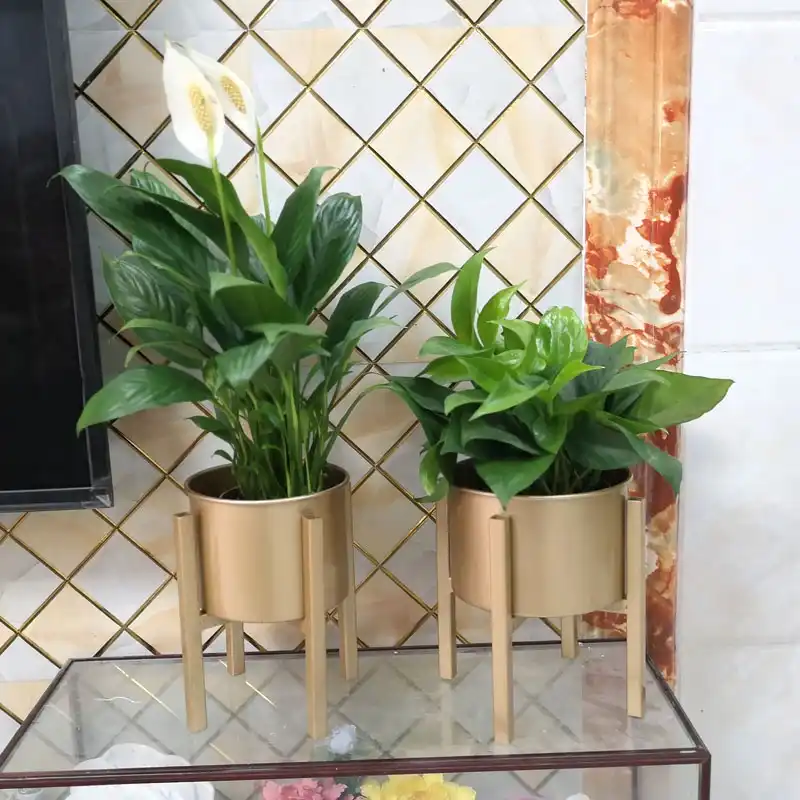 Nordic Besi Tempa Bunga Berdiri Desktop Lantai Indoor Lobak Hijau