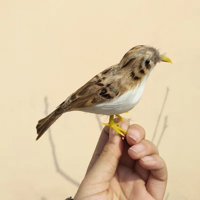 Милая мини-модель 12 см игрушка из пластика и пуха искусственная маленькая sparrow