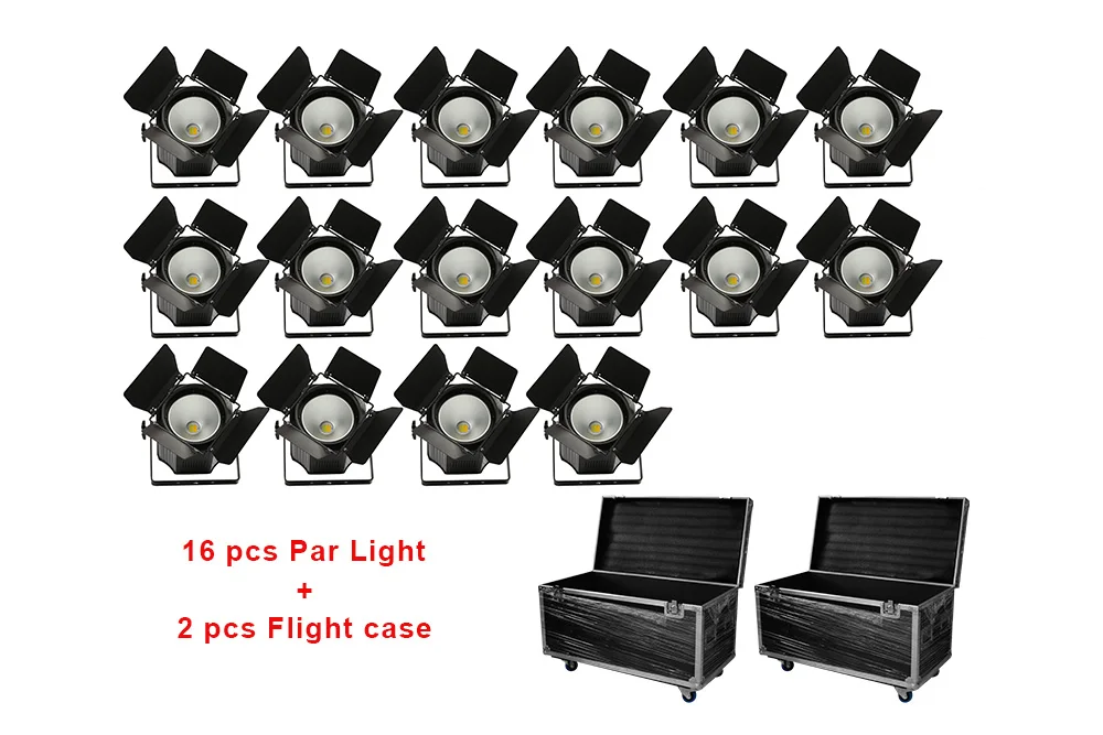 16pcs High Power 200w White & Warm White COB LED Par Light with Cover
