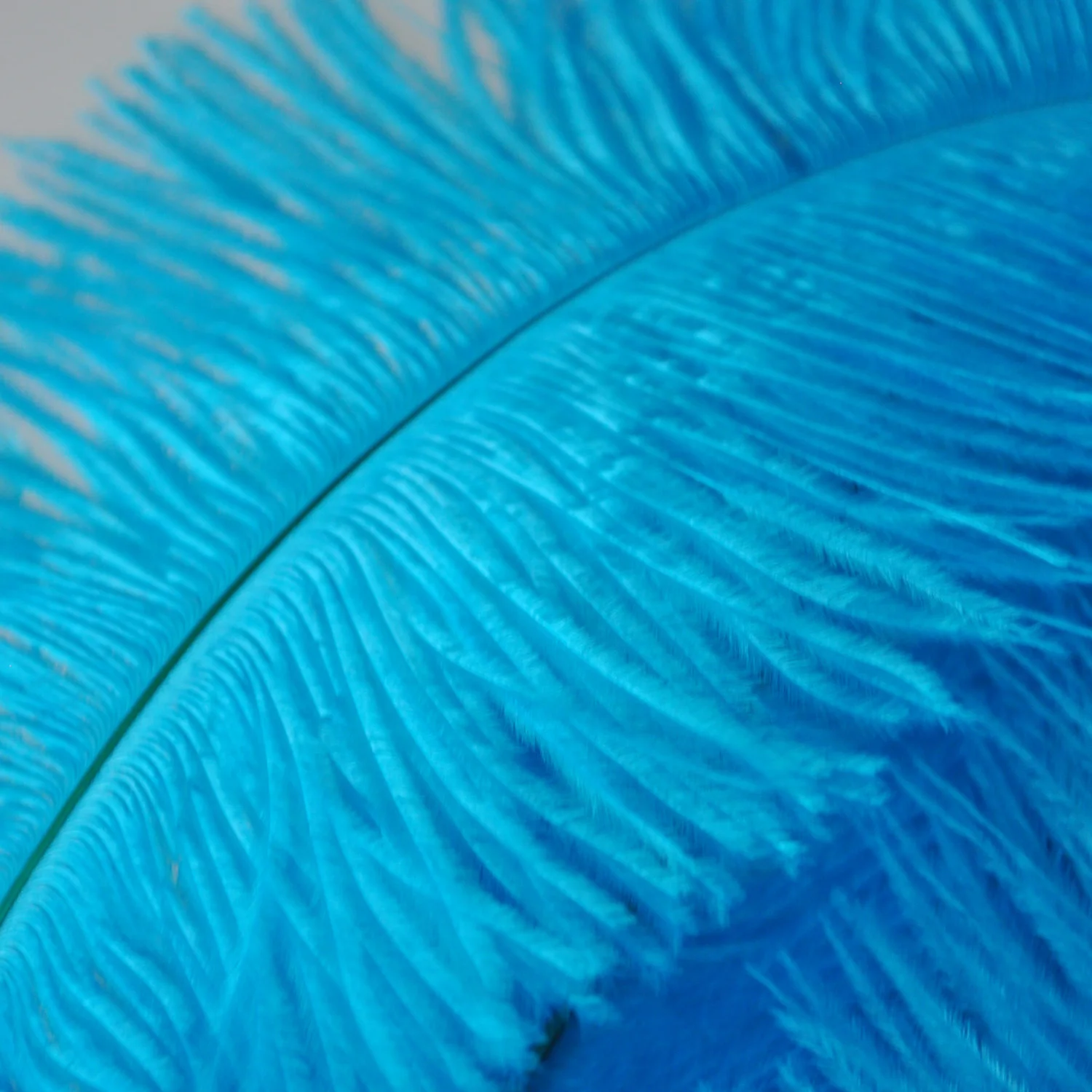 UESH 10 страусиные перья для домашнего декора синий|ostrich feather|feathers for decorationfeather feather |