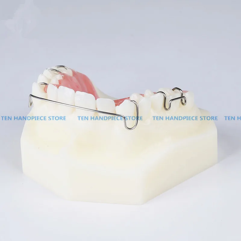 Хорошее качество 1 шт. Стоматологическая Ортодонтическая модель прибора с зубами тренажер фиксатор брекеты обучение и наука