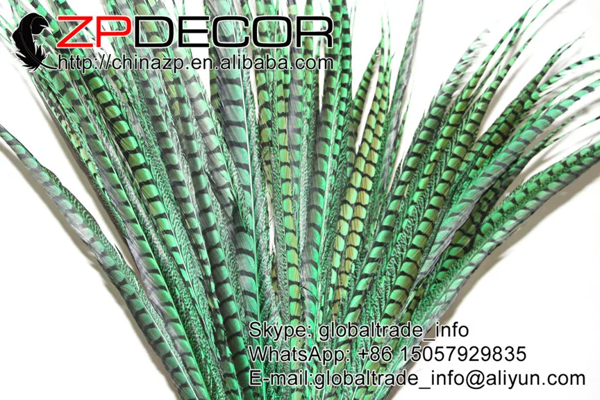 Новинка! ZPDECOR 100 110 см 20 шт./лот высокое качество окрашенные цветные женские