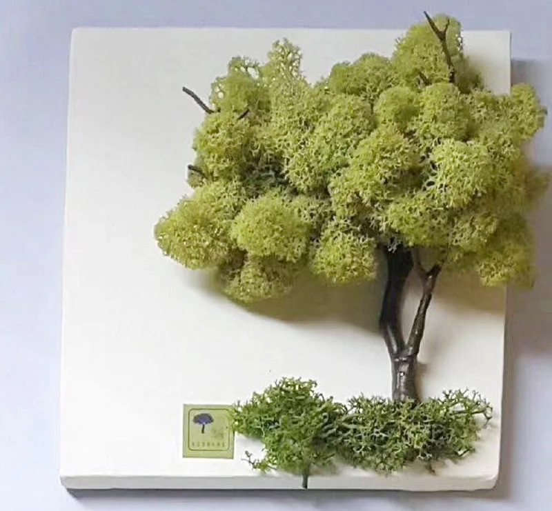 preserved moss cp2