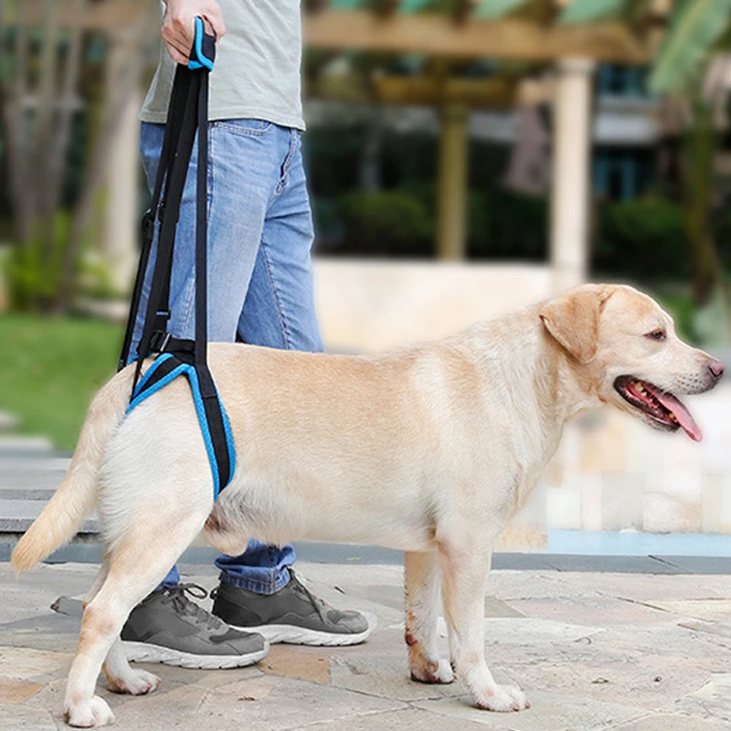 New Pet Leg Straps Walking Bracket Dog Leg Belts Hind Legs Support Harness with Assist Sling for Old Injured Dogs