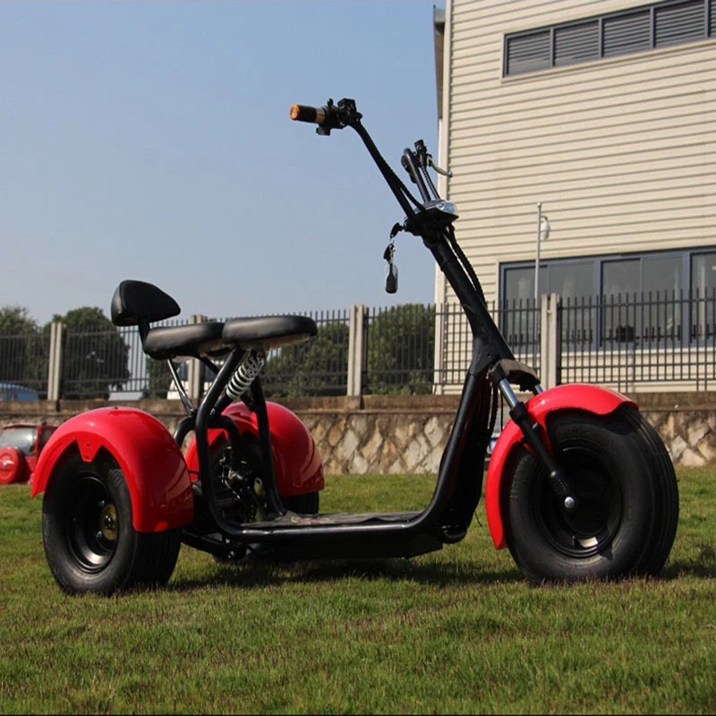 

Electric Motorcycle Electric Citycoco,Electric Tricycles 1000W 60V 12A Lithium battery with three-wheel,double seats