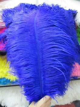 

Sales of high-quality 100pcs / Many royal blue ostrich feathers 55-60cm, DIY wedding decorations / decorative home accessories.