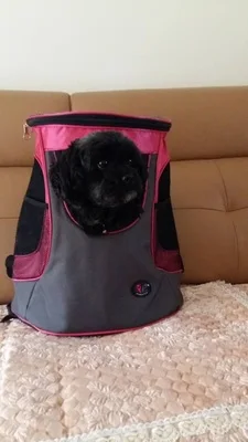 TB2L79ni3xlpuFjSszgXXcJdpXa_!!0-rate.jpg_400x400