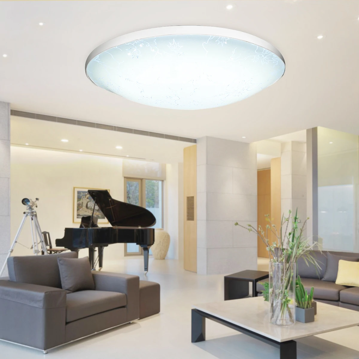 12W 15W 18W 24W Modern LED Ceiling Lamp Brightness Home