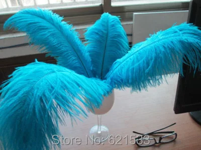 FO110 (3)