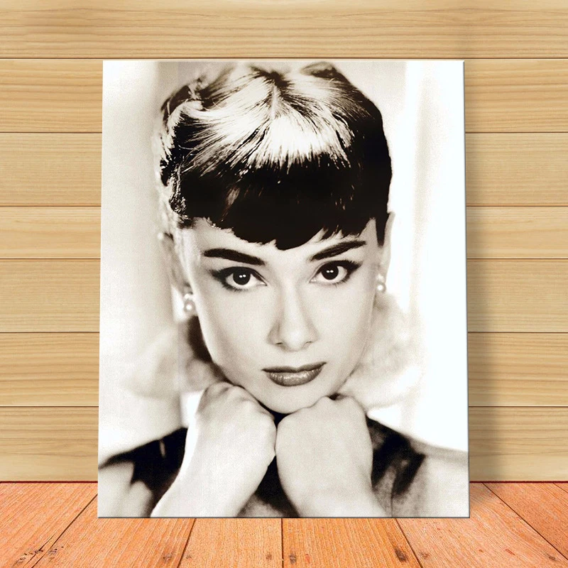 MOLEK DIY Oil Painting by Numbers Kit Movie Celebrities Hepburn Acrylic