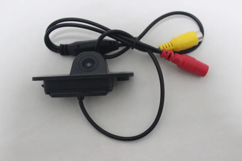 CC-5169-L1