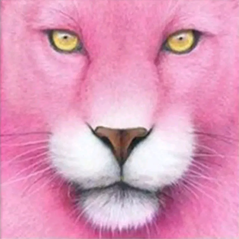 

Diamond Painting Animal lion Full diamond diamond painting new animal lion diamon 5D Cross Stitch Diamond Embroidered Stickers