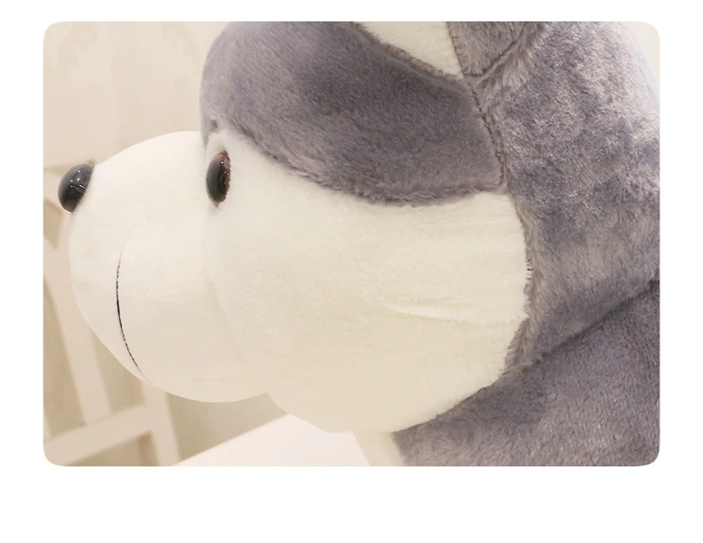 cute husky doll plush toy dog toys children's day birthday gift deco DY50689 (6)