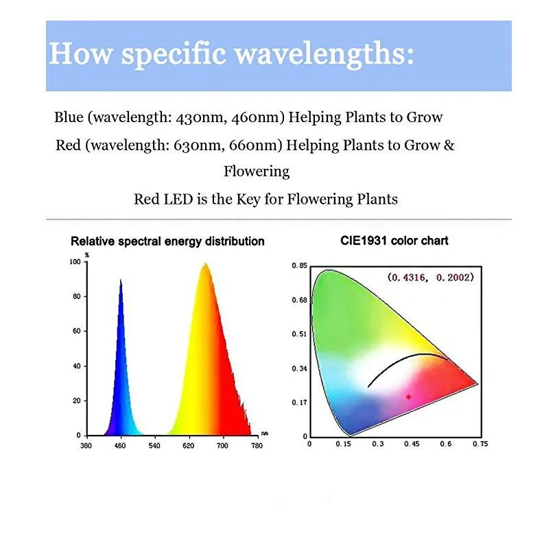 Waterproof 50W 100W Cob full spectrum LED Grow Lights for Indoor Plants Hydroponic Systems Gardening Greenhouse