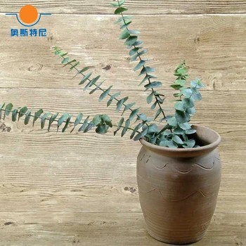 

5pcs dried natural flower bouquets natural eucalyptus branches for home decoration