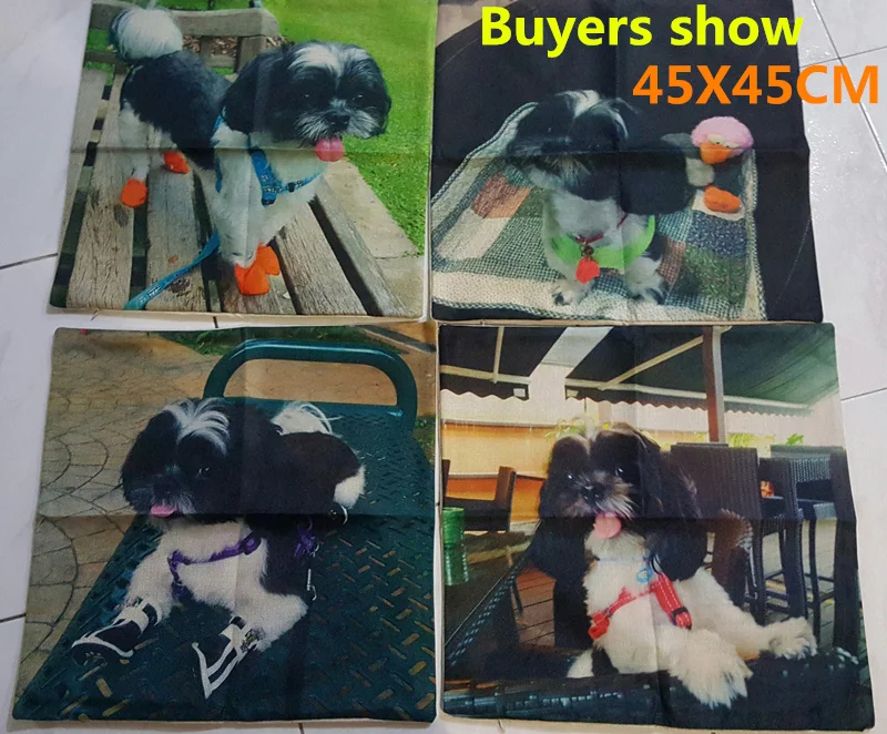 UT8ACkoX5pXXXagOFbXF