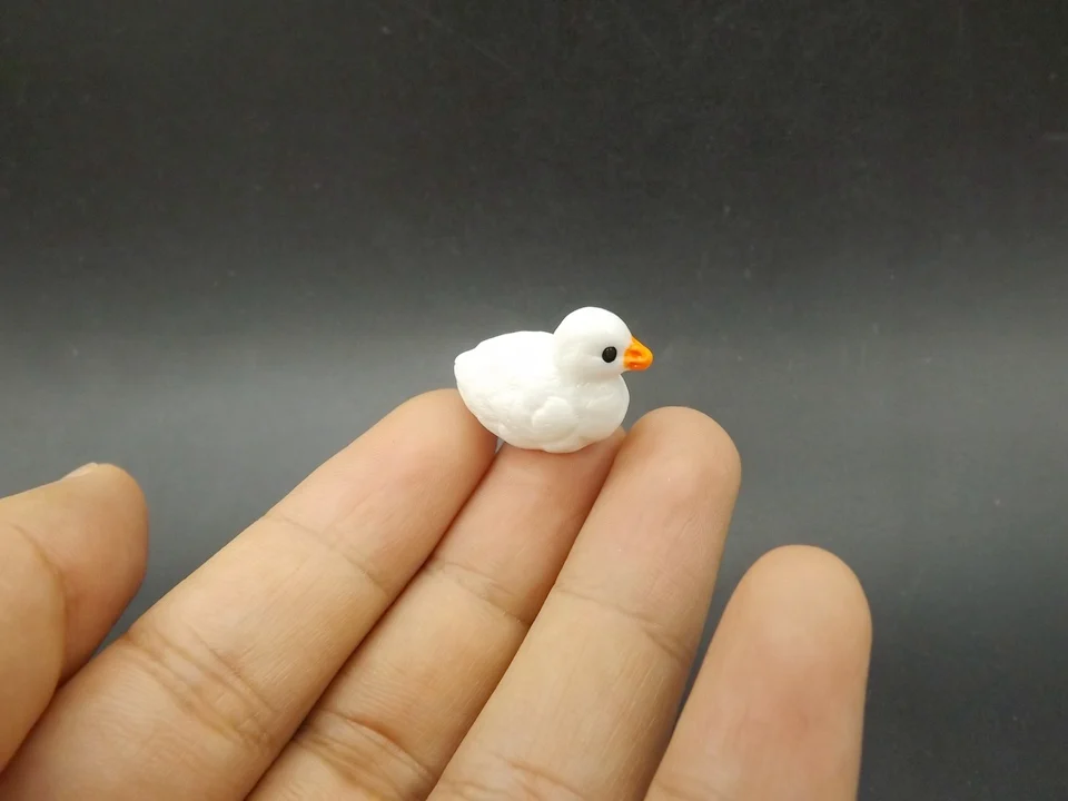 Tiny-A062 (3)