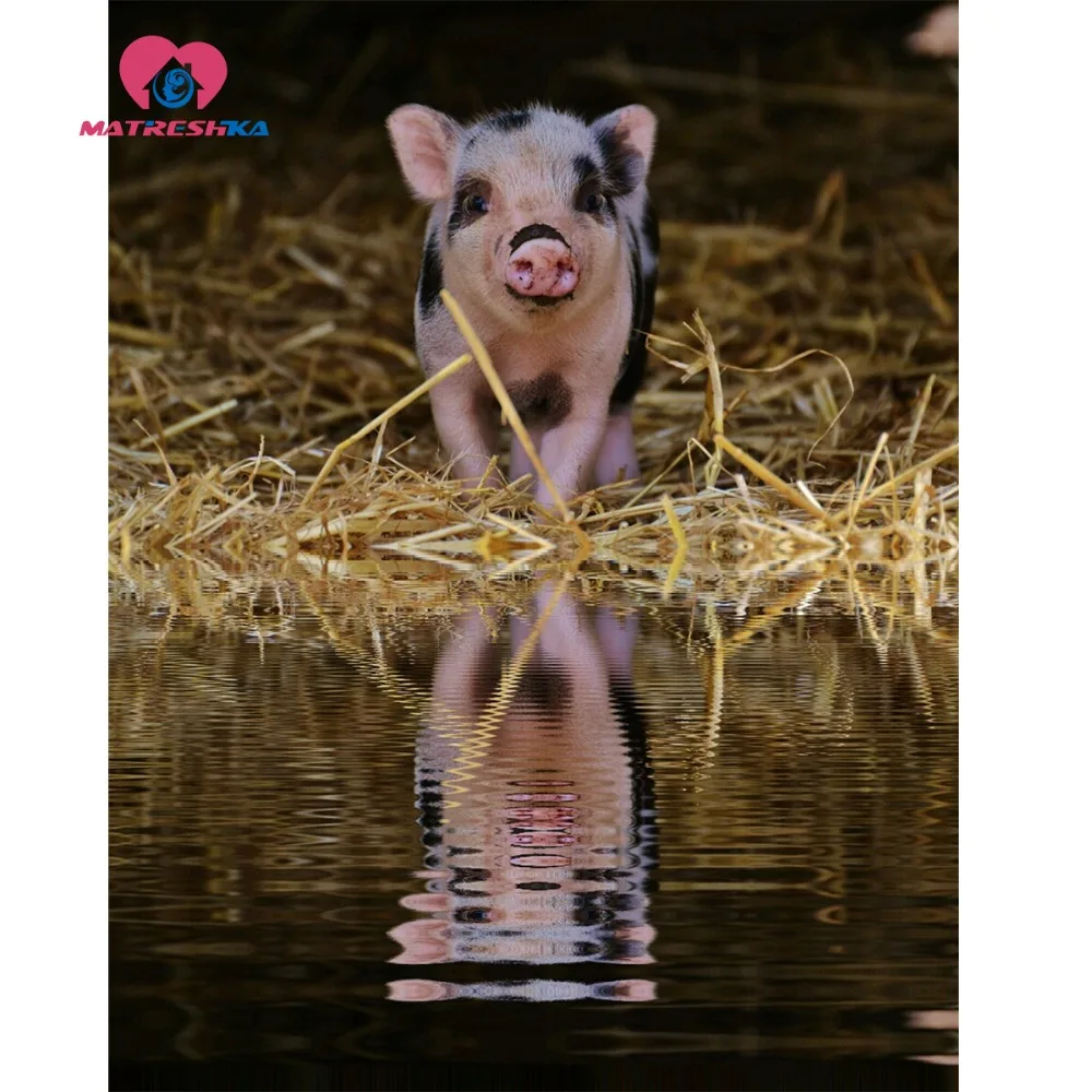 

Diamond embroidery animals pig Diamond mosaic cross-stitch Pictures of rhinestones mosaic pattern 5d diamond Embroidery kit