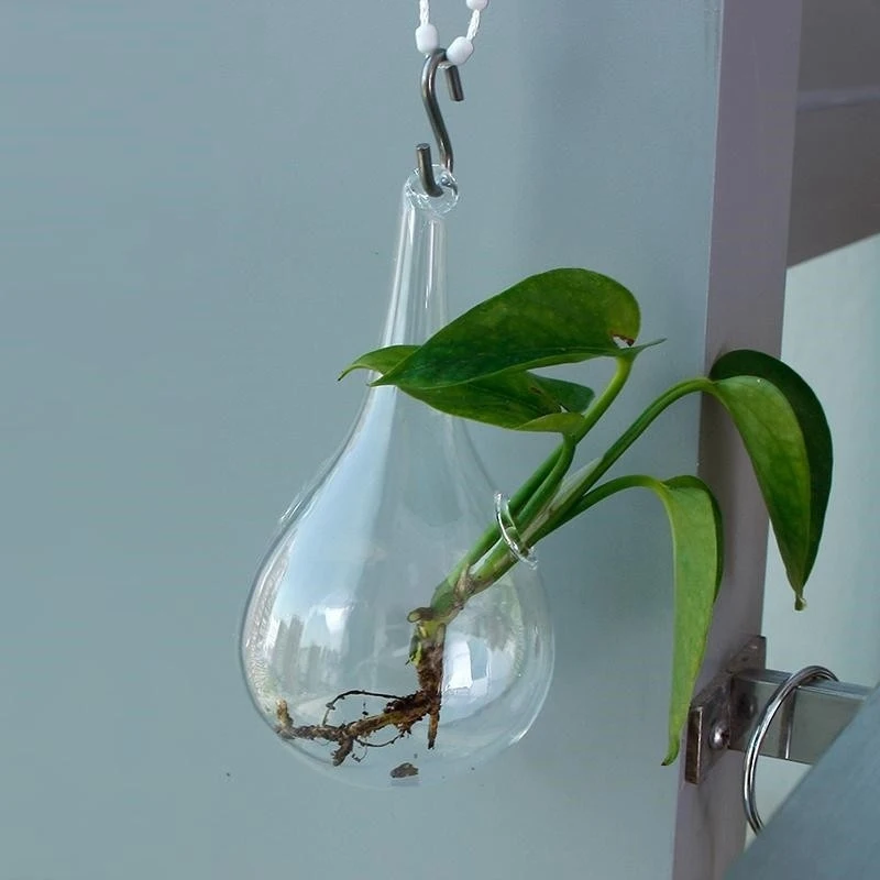 Прозрачная стеклянная подвесная ваза, бутылка террариума, контейнер для растений, Цветочный декор, прозрачная настенная стеклянная ваза, украшение для дома