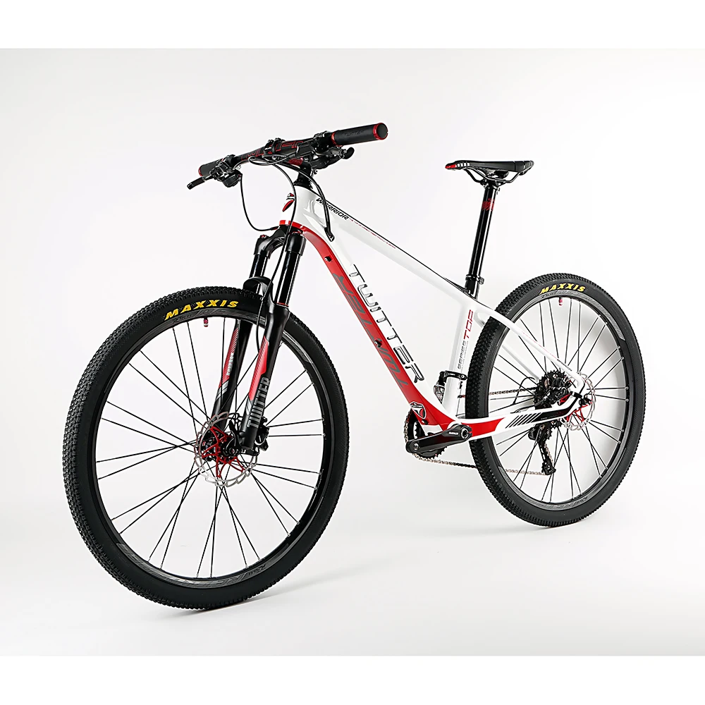 2017 Ultralight 22 33 font b Speed b font Carbon Fiber Frame Mountain Bike MTB font