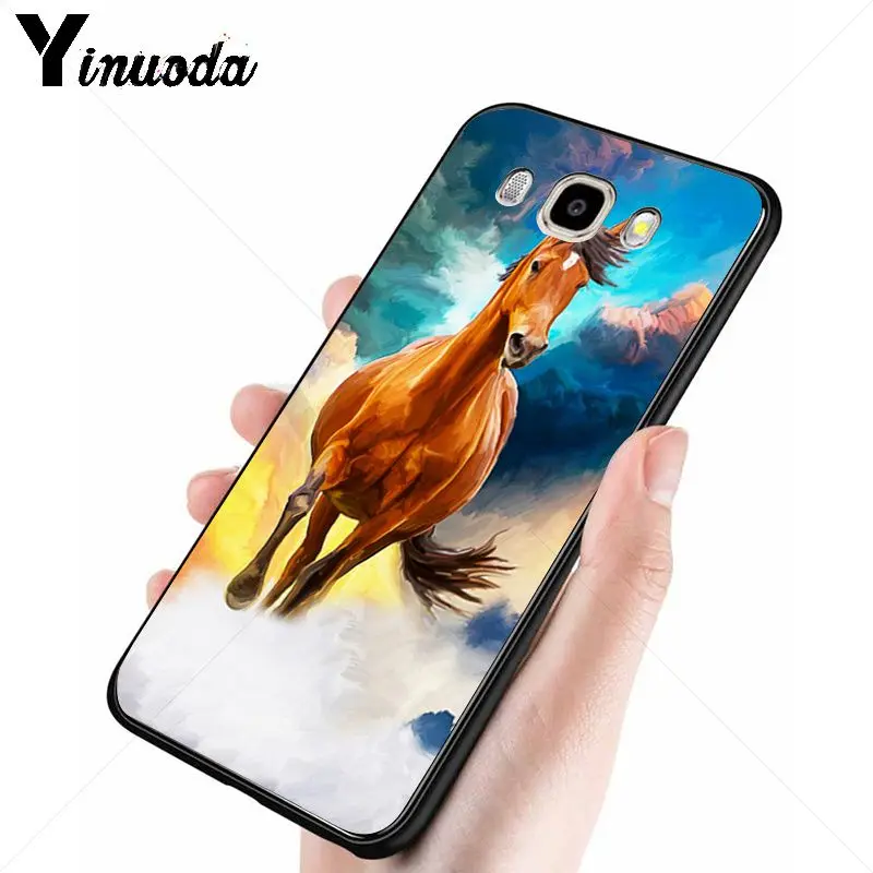 horse animal