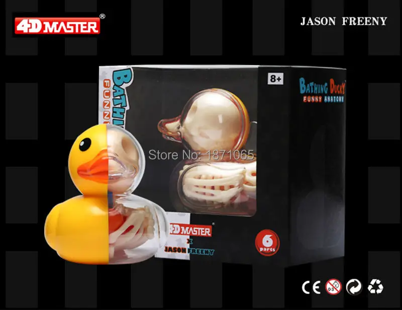 4 DMASTER серия художника Dahuang Duck образовательная модель скелета Анатомия череп Собранный полупрофиль фигурка игрушки