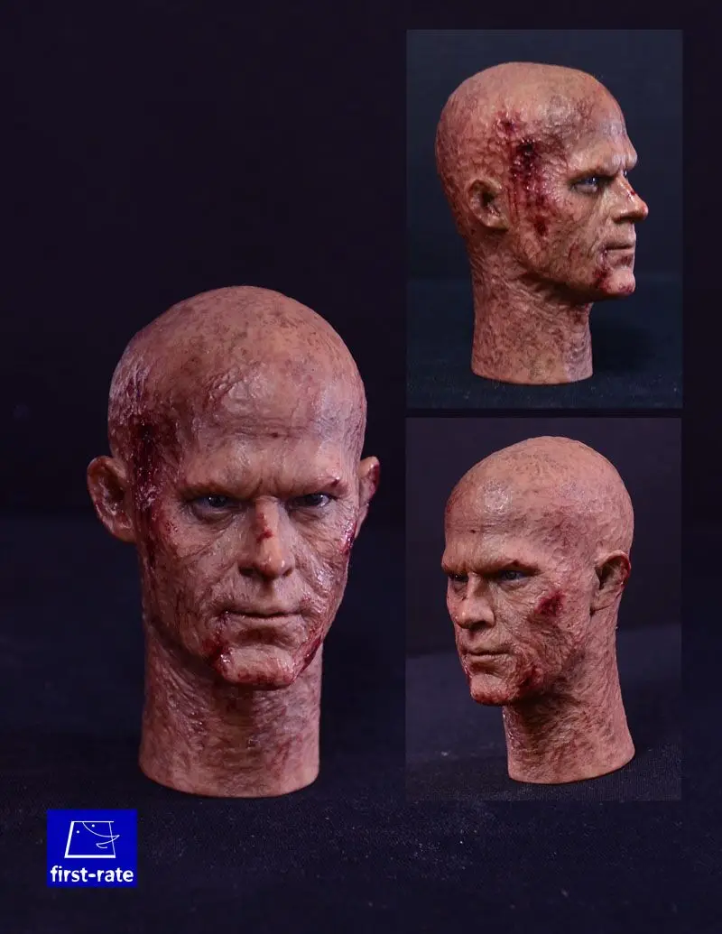 

First-rate 1/6 Deadpool Ruian Reynolds Burned Bald Head / Biohazard Resident evil Ada Wong Head for 12"Action figures