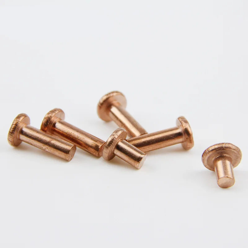 M2 M2.5 M3 Copper Rivets Flat head Copper Rivet Solid Rivet 100pcsin