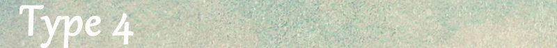 type-4